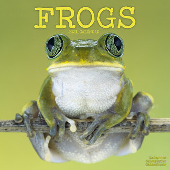 Naptár 2027 Frogs