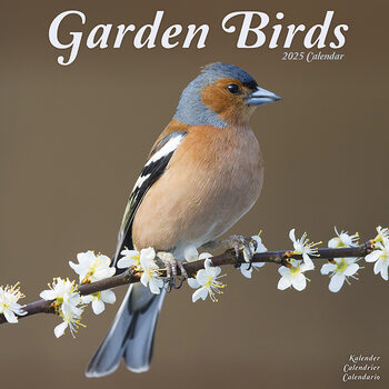 Naptár 2027 Garden Birds