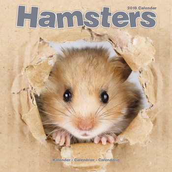 Naptár 2027 Hamsters