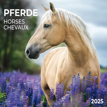 Naptár 2027 Horses