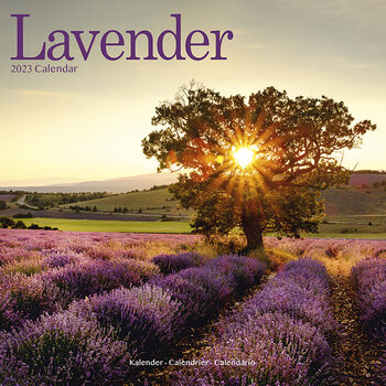 Naptár 2023 Lavender