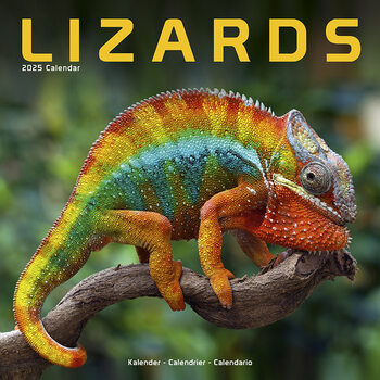 Naptár 2027 Lizards