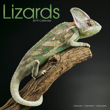 Naptár 2027 Lizards