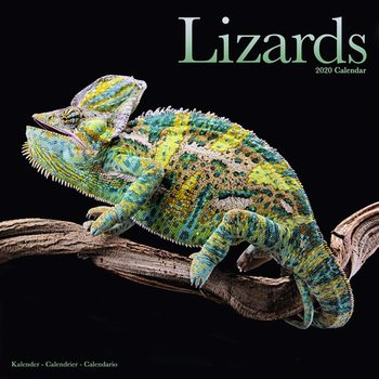 Naptár 2027 Lizards