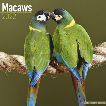 Naptár 2027 Macaws