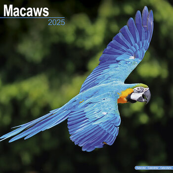 Naptár 2027 Macaws