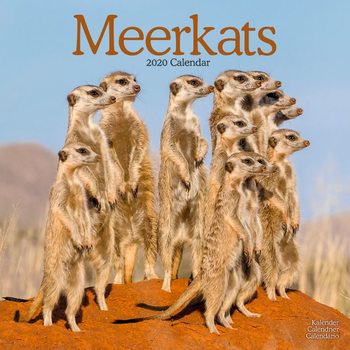 Meerkats naptár 2020