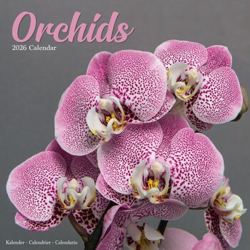 Naptár 2027 Orchids
