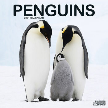 Naptár 2027 Penguins
