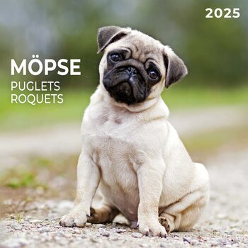 Naptár 2027 Puglets