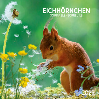 Naptár 2027 Squirrel