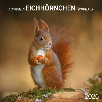 Naptár 2027 Squirrels