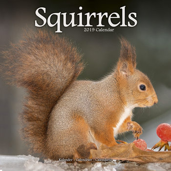 Naptár 2027 Squirrels