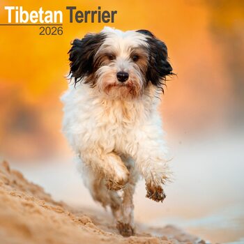 Naptár 2026 Tibetan Terrier