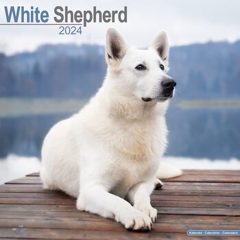 Naptár 2027 White Shepherd