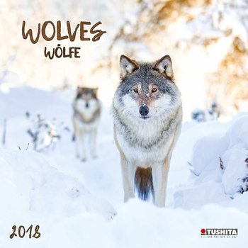 Naptár 2027 Wolves