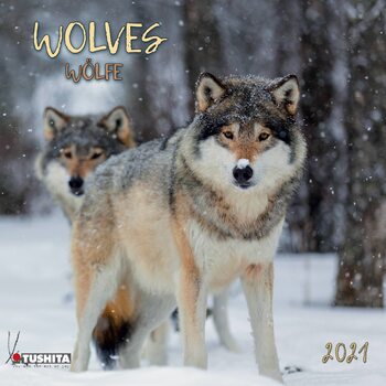 Naptár 2027 Wolves