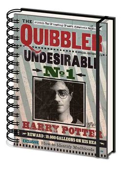 Harry Potter - Quibbler Notes