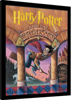 Zarámovaný plagát Harry Potter - The Sorcerer‘s Stone Book