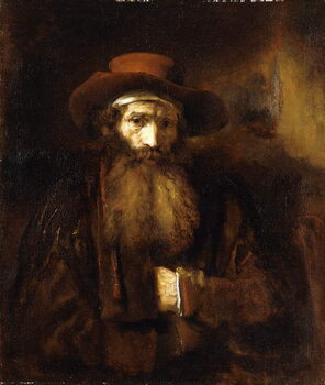 Obraz na plátně A Bearded Old Man