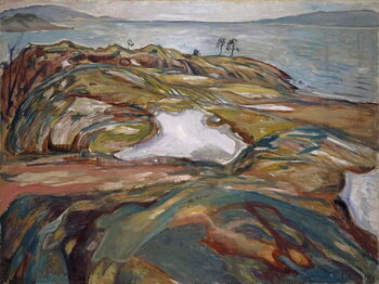 Obraz na plátně Coastal Landscape
