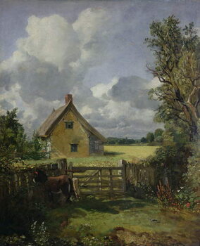 Obraz na plátně Cottage in a Cornfield