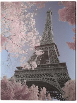 Obraz na plátně David Clapp - Eiffel Tower Infrared, Paris