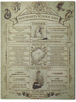 Obraz na plátně Harry Potter - Hogwarts School List