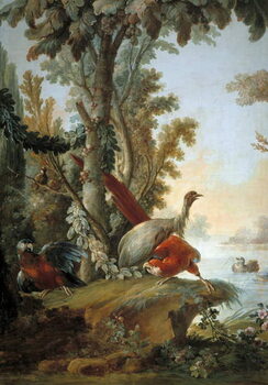 Obraz na plátně Herons and parrots