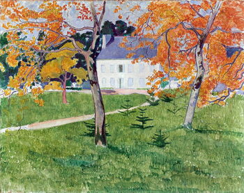Obraz na plátně House among trees, 1888
