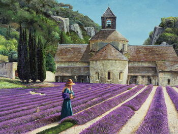 Obraz na plátně Lavender Picker, Abbaye Senanque, Provence