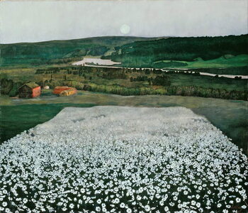 Obraz na plátně Prairie de fleurs dans le Nord