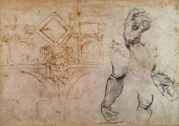 Obraz na plátně Scheme for the Sistine Chapel Ceiling, c.1508