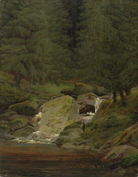 Obraz na plátně The Evergreens by the Waterfall