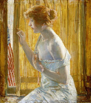 Obraz na plátně The flag outside her window