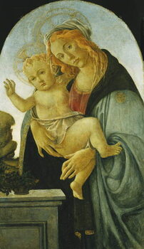 Obraz na plátně The Madonna and Child,