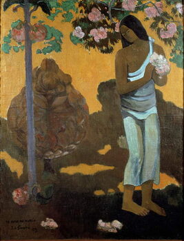 Obraz na plátně The month of Maria (Te avae no Maria)