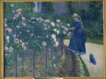 Obraz na plátně The roses. Garden of the little Gennevilliers.