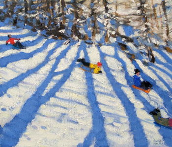 Obraz na plátně Tree shadows, Morzine