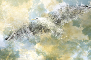 Obraz na plátně Vanishing Seagull