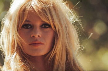 Obraz na plátně Brigitte Bardot, 1965
