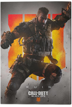 Obraz na plátně Call of Duty: Black Ops 4 - Ruin