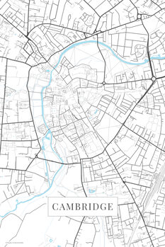 Obraz na plátně Cambridge white