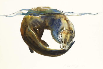 Obraz na plátně Circle of life,  2014,