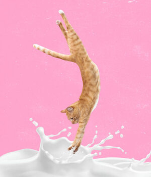 Obraz na plátně Contemporary art collage, modern creative design.