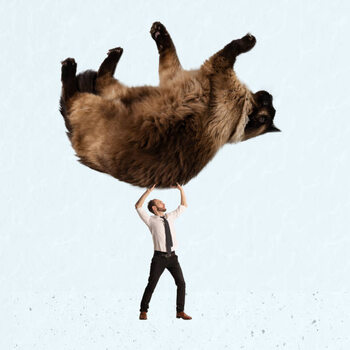 Obraz na plátně Contemporary art collage. Surreal artwork. Businessman