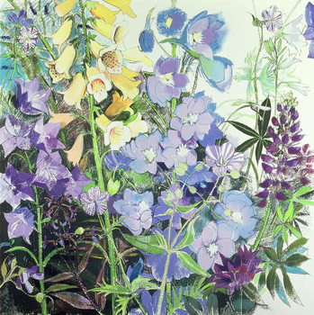Obraz na plátně Delphiniums and Foxgloves