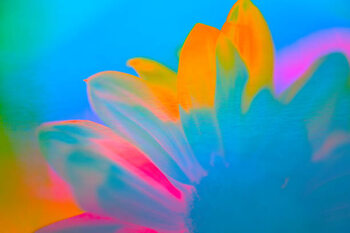 Obraz na plátně Flower - art/design