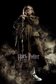 Obraz na plátně Harry Potter - Alastor Moody