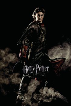 Obraz na plátně Harry Potter and the Goblet of Fire - Harry